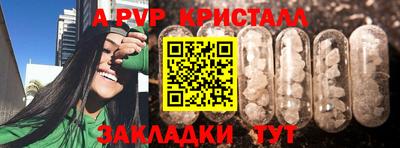 дмт Новокубанск