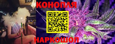 дмт Новокубанск