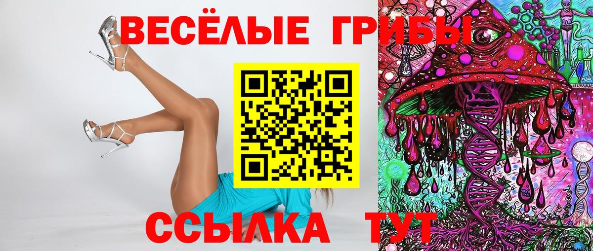 Галлюциногенные грибы Psilocybine cubensis Сосновоборск