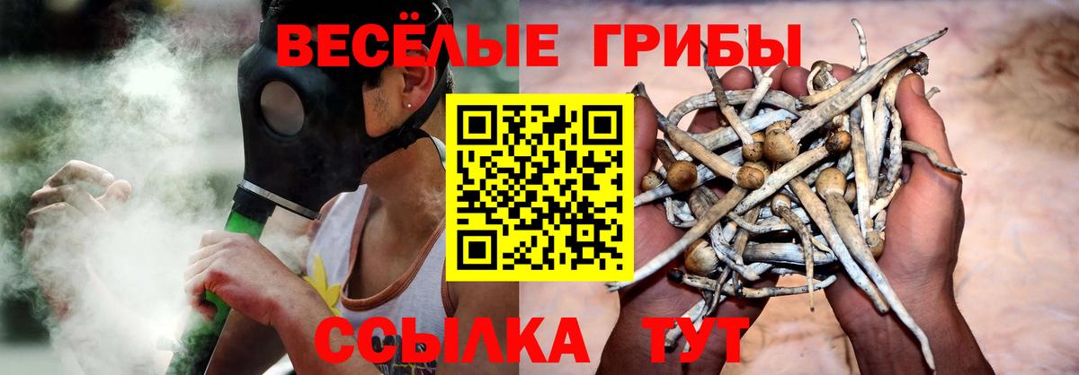 купить  цена  Вход с VPN  Сосновоборск  Галлюциногенные грибы мицелий 